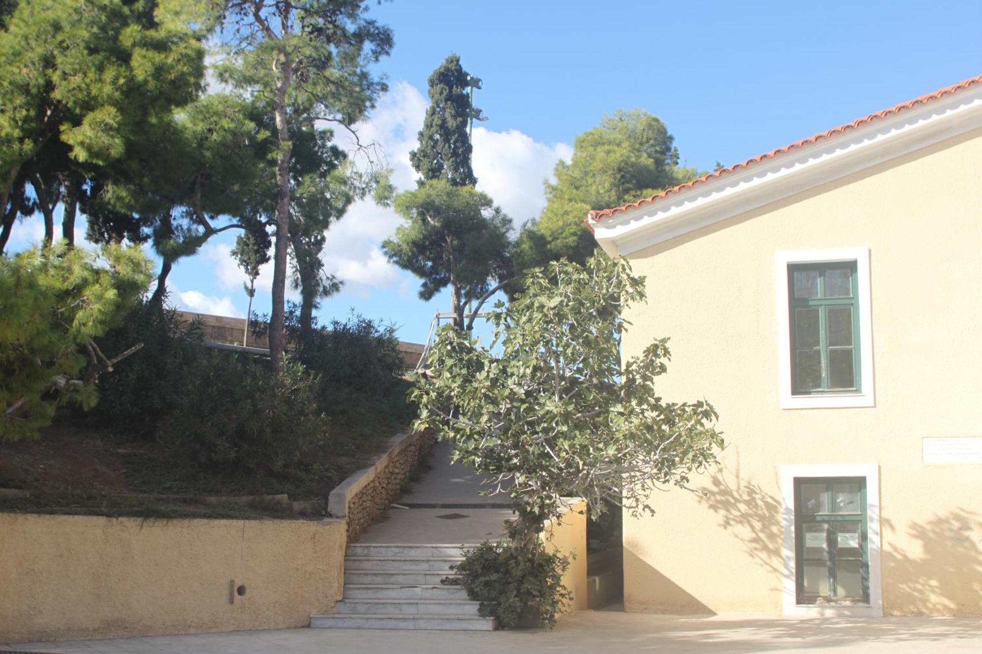 "Under The Olive Tree"- Beautiful Apartment In The Heart Of Athén Kültér fotó