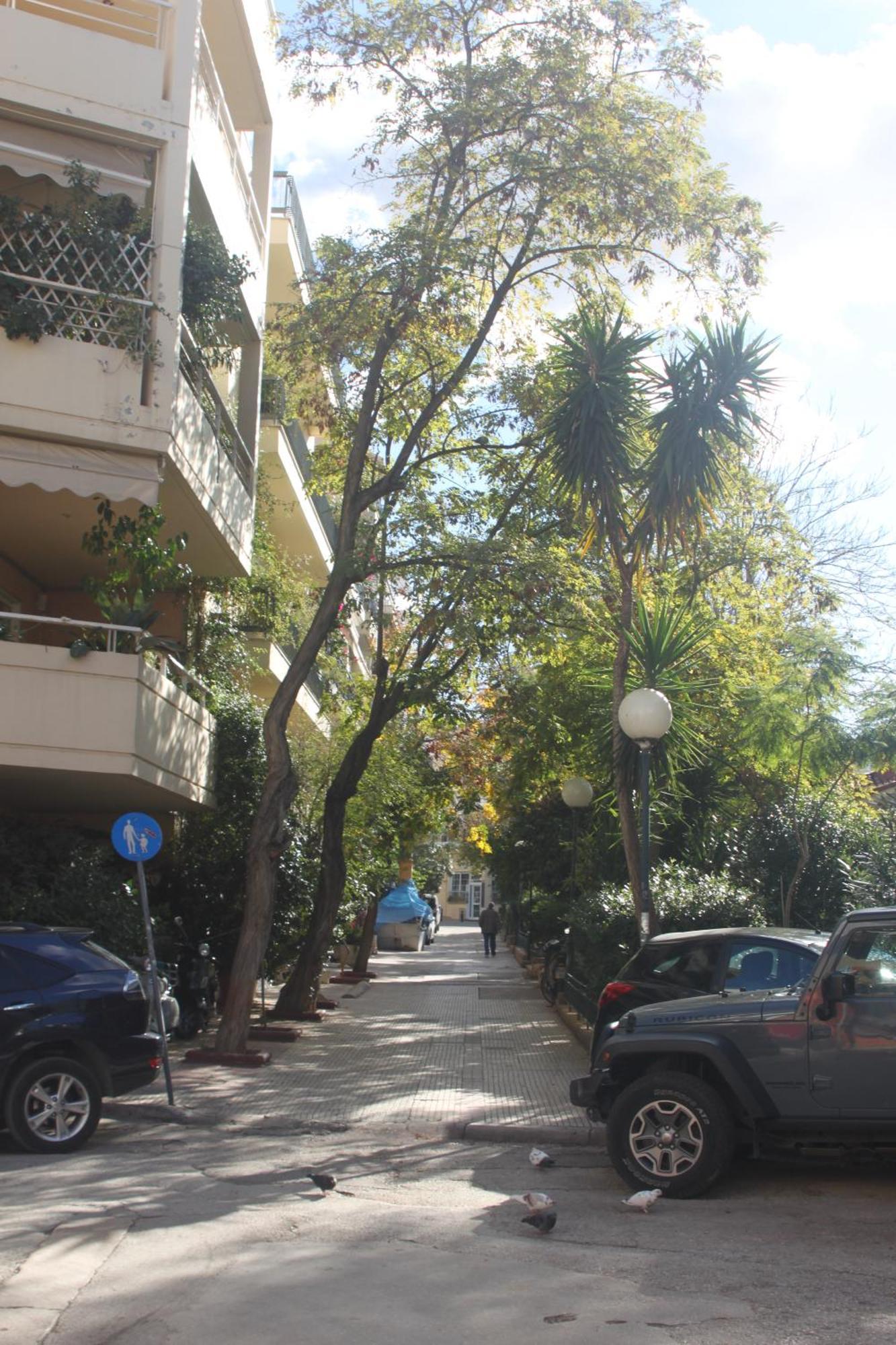 "Under The Olive Tree"- Beautiful Apartment In The Heart Of Athén Kültér fotó